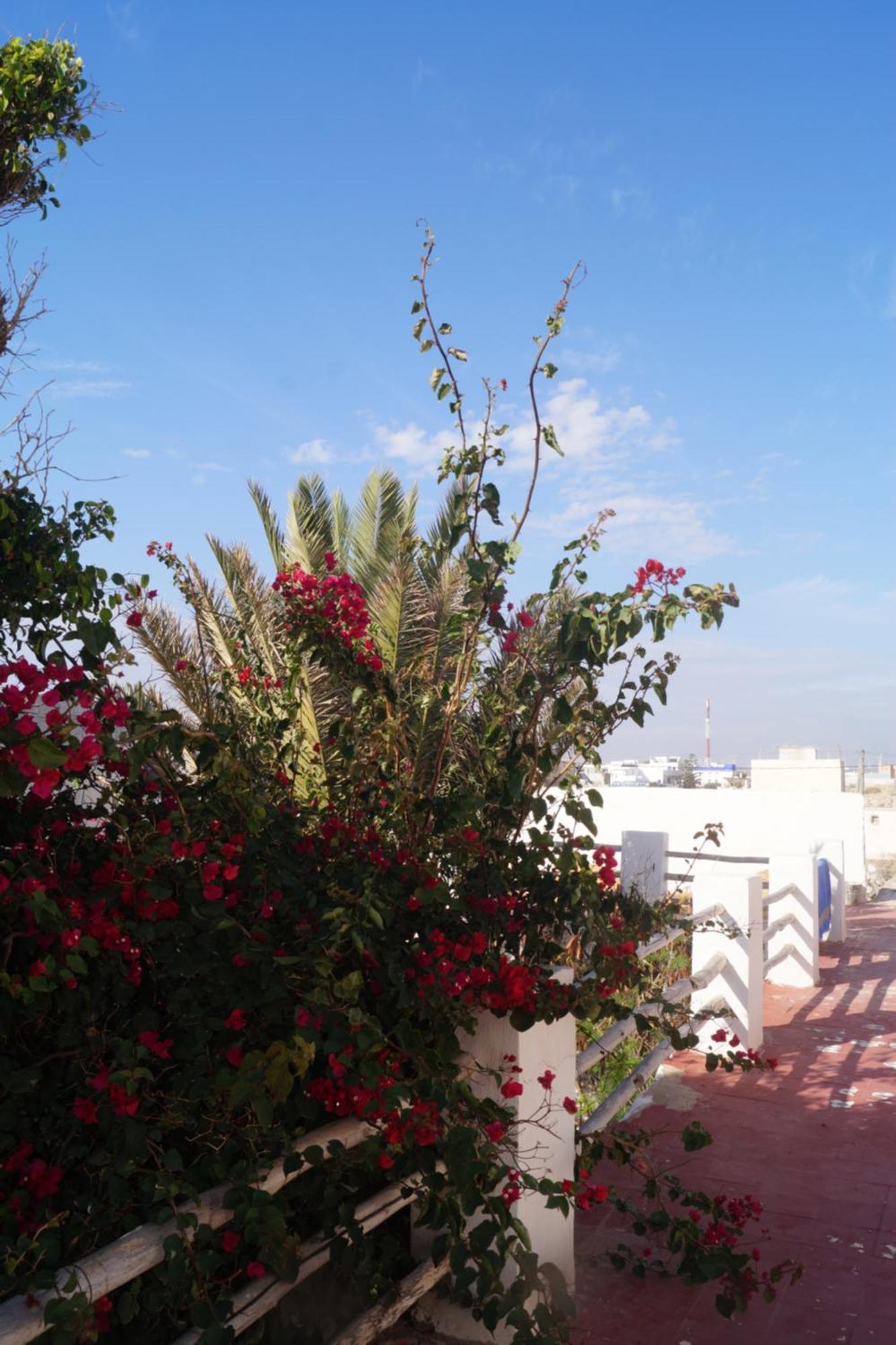 Sidi Kaouki Perla Otel Dış mekan fotoğraf