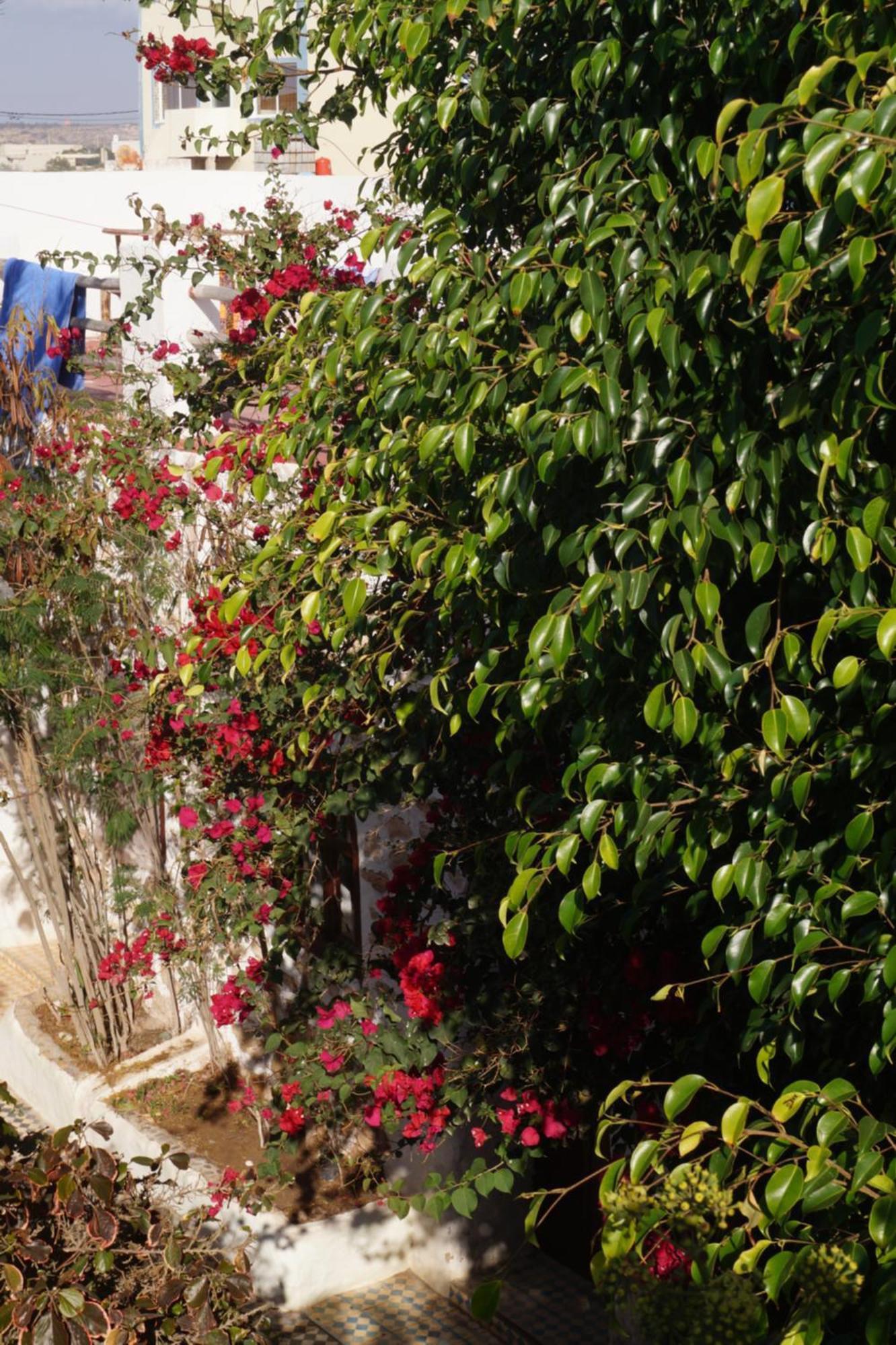 Sidi Kaouki Perla Otel Dış mekan fotoğraf